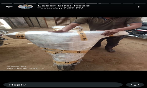 Agarwal A1 Packers Movers  - Packers and Movers in Mansarovar, Jaipur