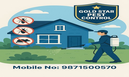 Gold Star Pest Control  - Pest Control in Sangam Vihar, Delhi