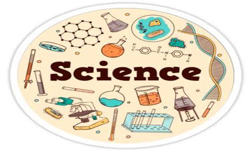 Shalini - School Tuitions in Ayanavaram, Chennai