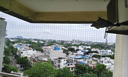 Bpl Pigeon Nett Service Bhopal  - Pest Control in Panchsheel Nagar, Bhopal