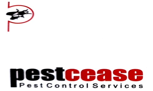 Pest Cease - Pest Control in Andheri, Mumbai