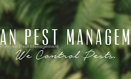 Aryan Pest Management - Pest Control in Navrangpura, Ahmedabad