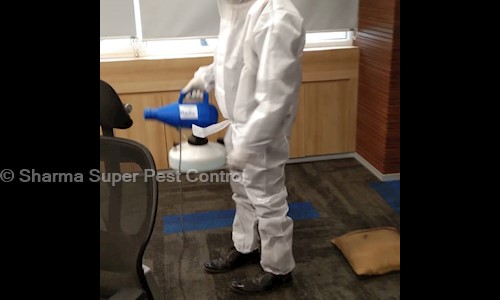Sharma Super Pest Control - Pest Control in  Delhi, Delhi