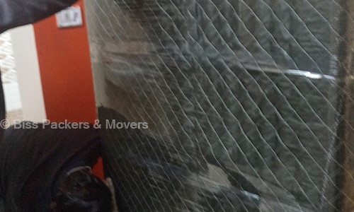 Biss Packers & Movers - Packers and Movers in Mata Mandir, Bhopal