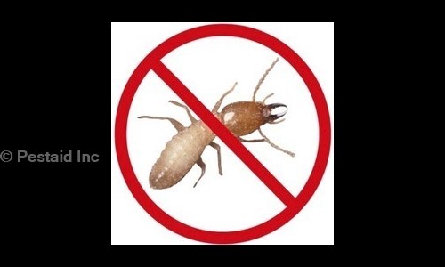 Pestaid Inc. - Pest Control in Pitampura, Delhi