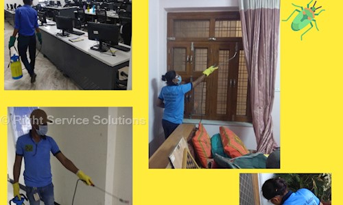 Right Service Solutions - Pest Control in Jagatpura, Jaipur
