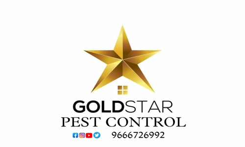 Gold Star Pest control - Pest Control in Erragadda, Hyderabad