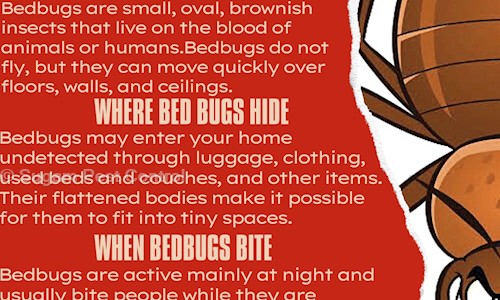 Sugam Pest Control - Pest Control in Adajan, Surat