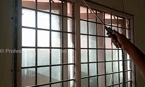 Professional Pest Control - Pest Control in Chromepet, Chennai
