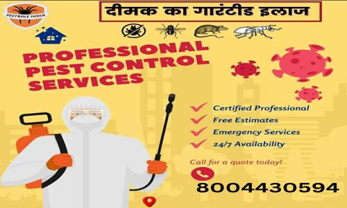 Pestrole India - Pest Control in Jankipuram, Lucknow