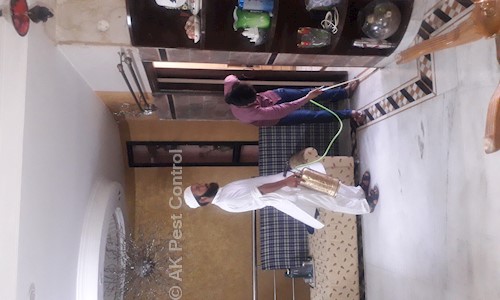 A.K. PEST CONTROL - Pest Control in SAS Nagar, Mohali