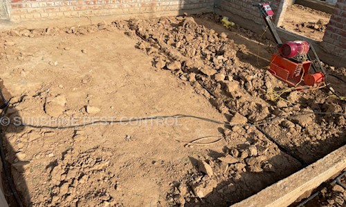 SUNSHINE PEST CONTROL - Pest Control in Mohali, Chandigarh