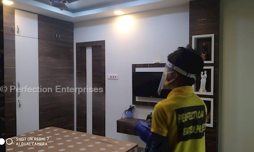 Perfection Enterprises - Pest Control in Netaji Nagar, kolkata