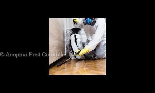 Ram Ratan Patel - Pest Control in Shahdara, Delhi