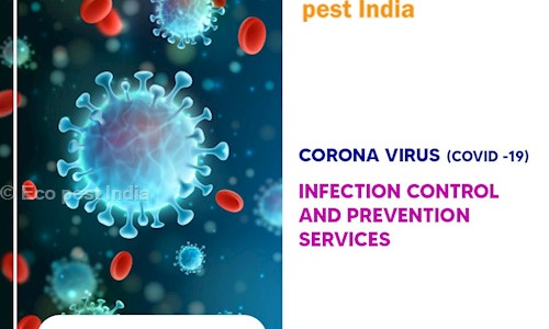 Eco pest India - Pest Control in Ernakulam, Cochin