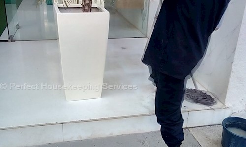 Perfect Housekeeping Services - Pest Control in Vile Parle East, Mumbai