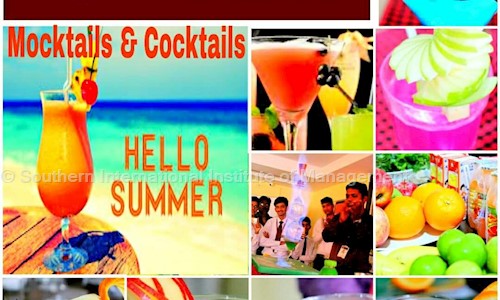 Southern International Institute of Management - Colleges in MVP Colony, Visakhapatnam