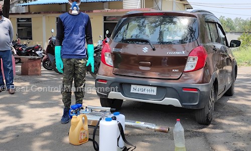 Pest Control Management - Pest Control in Morabadi, Ranchi