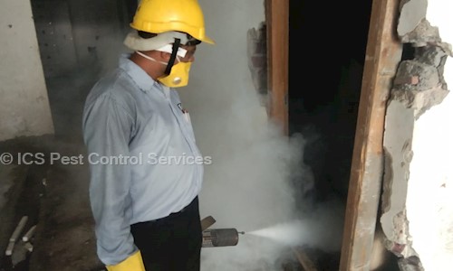 ICS Pest Control Services - Pest Control in Manimajra, Chandigarh