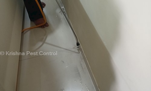 Krishna Pest Control - Pest Control in Behrampura, Ahmedabad