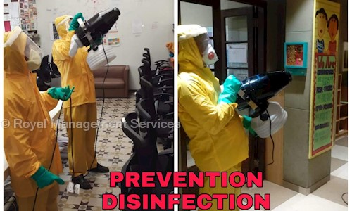 Royal Management Services - Pest Control in Sodepur, Kolkata