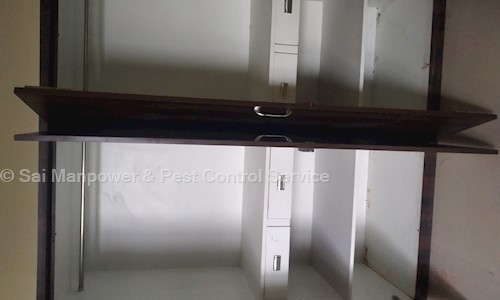 Sai Manpower & Pest Control Service - Pest Control in Shahpura, Bhopal