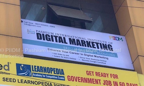 PIIDM - Pashium International Institute Of Digital Marketing - Job Training in Swargate, Pune