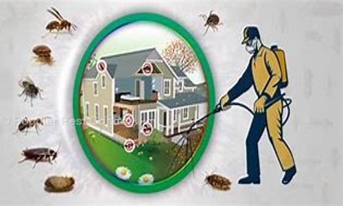 Popular Pest Control - Pest Control in Mainpura, Patna
