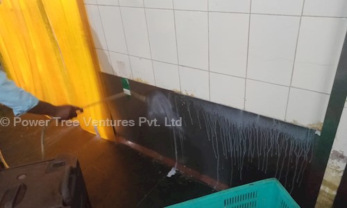 Power Tree Ventures Pvt. Ltd. - Pest Control in Chandra Layout, Bangalore