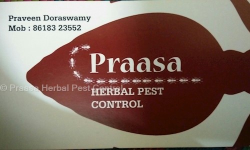 Praasa Herbal Pest Control - Pest Control in Koramangala, Bangalore
