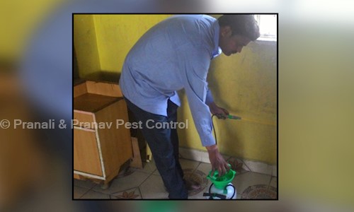 Pranali & Pranav Pest Control - Pest Control in Khadki, Pune