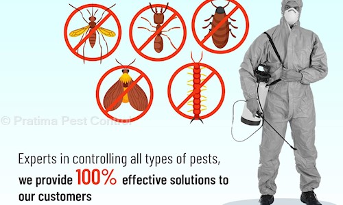Pratima Pest Control - Pest Control in Bharat Nagar, Bhopal
