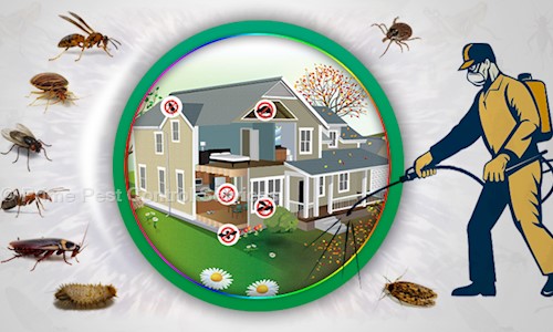 Prime Pest Control Services - Pest Control in Dadar West, Mumbai