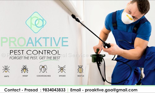 Proaktive Pest Control Services - Pest Control in Alto Porvorim, Goa