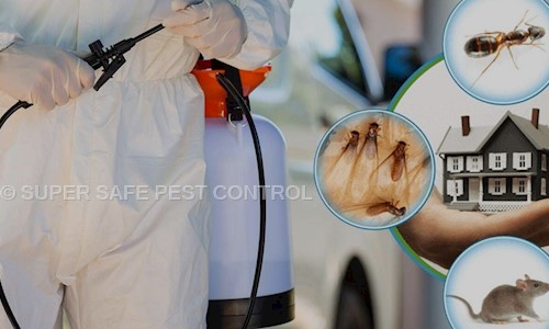 SUPER SAFE PEST CONTROL - Pest Control in Kestopur, Kolkata