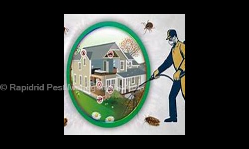 Rapidrid Pest Management India - Pest Control in Dineshpur, Rudrapur