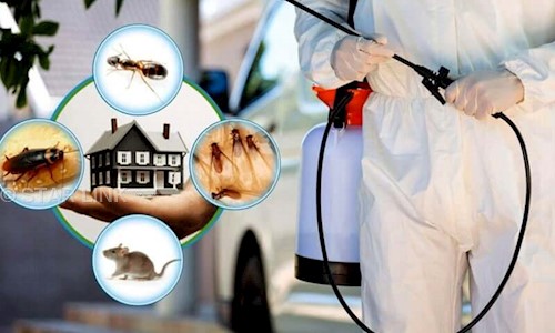 STAR LINK - Pest Control in Malakpet, Hyderabad