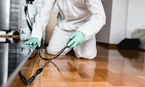 Call And Kill Pest Control Services - Pest Control in Dapodi, Pimpri Chinchwad