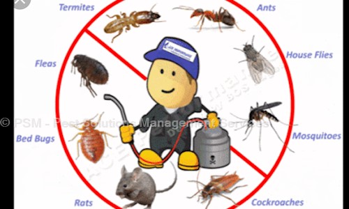 PSM - Pest Solutions Management Services - Pest Control in Dadar East, Mumbai