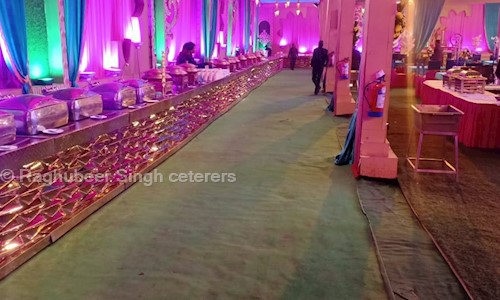 Raghubeer Singh ceterers - Catering Services in Rohini, Delhi