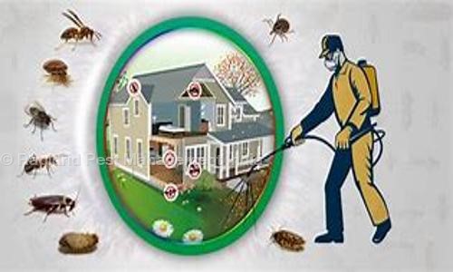 Rapidrid Pest Management India - Pest Control in Dineshpur, Rudrapur
