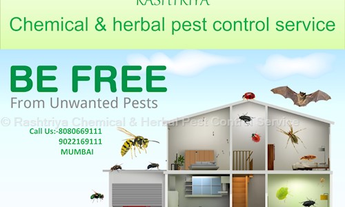 Rashtriya Chemical & Herbal Pest Control Service - Pest Control in Dadar, Mumbai