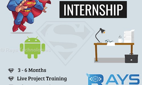 Rays Technologies - Job Training in Shankar Nagar, Raipur