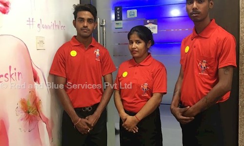 Red and Blue Services Pvt Ltd. - Pest Control in Paltan Bazar, Guwahati