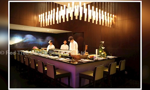 Red Tree Design Studio Pvt. Ltd. - Interior Designers & Decorators in Shivaji Nagar, Pune