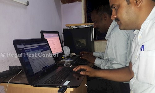 Regal Pest Control - Pest Control in Vishrantwadi, Pune