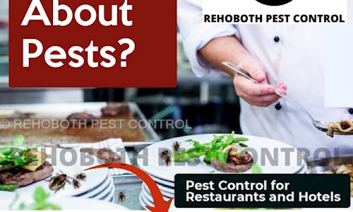 REHOBOTH PEST CONTROL - Pest Control in Crawford Colony Main Road, Trichy