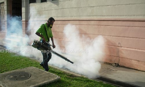 Relax Pest Management Solutions - Pest Control in Koramangala, Bangalore