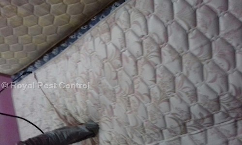 Royal Pest Control - Pest Control in Yeshwanthpur, Bangalore