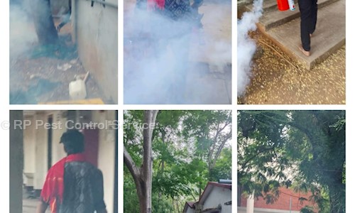 RP Pest Control Service - Pest Control in Thorapadi, Vellore